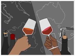 Explorando as Diferenças entre os Vinhos Sauvignon Blanc do Novo Mundo e do Velho Mundo