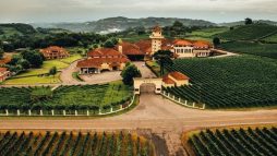 Enoturismo e Cultura Local: Imersão nas Tradições Vinícolas Sul-Americanas