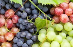 Variedades de Uva Para Vinho Branco: Um Guia Completo