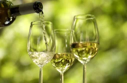 Vinho Verde para Iniciantes: Um Guia de Escolha e Degustação