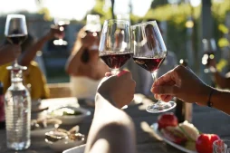 França: Desbravando os Vinhedos e a Cultura do Vinho