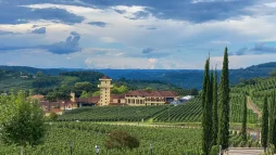 Enoturismo no Vale dos Vinhedos: Uma Experiência Única