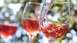 Guia Completo para Entender e Apreciar Vinho Rosé