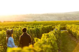 Vinícolas Inesquecíveis ao Redor do Mundo